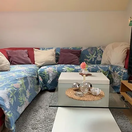 Welcome Home, Price , Fast Wlan, Netflix, Washing, Drying, Big Tv, Space, Free Parking, 4big 100m2, Smoking Place Outside On, Try Out And Visit Us *