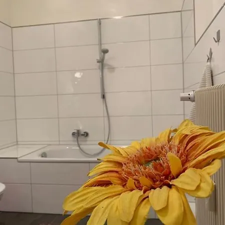 Apartment Welcome Home, Price , Fast Wlan, Netflix, Washing, Drying, Big Tv, Space, Free Parking, 4big 100m2, Smoking Place Outside On, Try Out And Visit Us