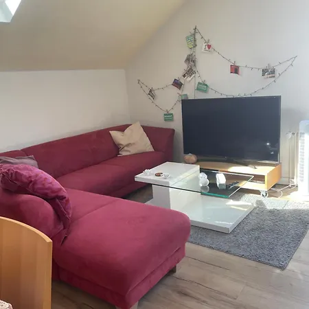 Welcome Home, Price , Fast Wlan, Netflix, Washing, Drying, Big Tv, Space, Free Parking, 4big 100m2, Smoking Place Outside On, Try Out And Visit Us