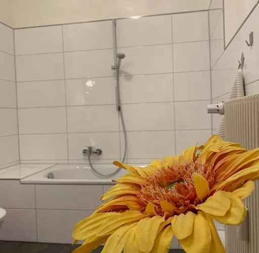 Appartamento Welcome Home, Price , Fast Wlan, Netflix, Washing, Drying, Big Tv, Space, Free Parking, 4big 100m2, Smoking Place Outside On, Try Out And Visit Us