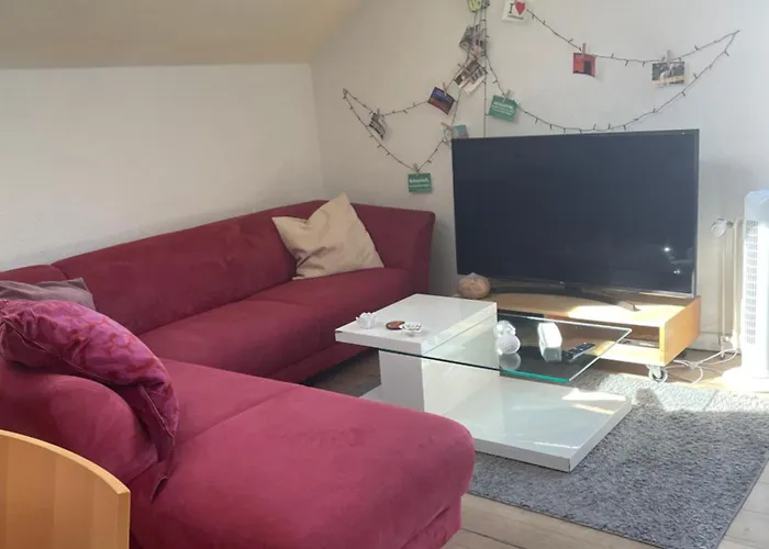 Welcome Home, Price , Fast Wlan, Netflix, Washing, Drying, Big Tv, Space, Free Parking, 4big 100m2, Smoking Place Outside On, Try Out And Visit Us